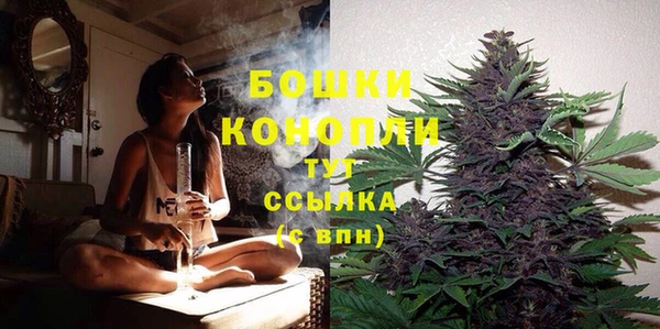 мяу мяу мука Медвежьегорск