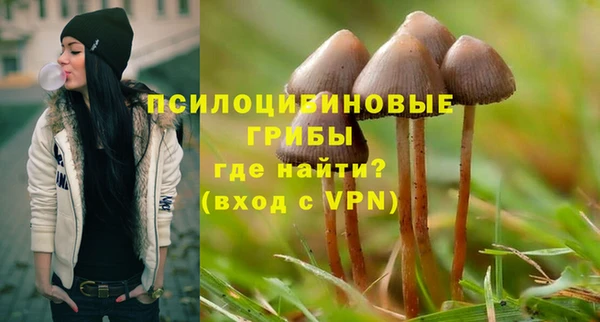 мяу мяу мука Медвежьегорск